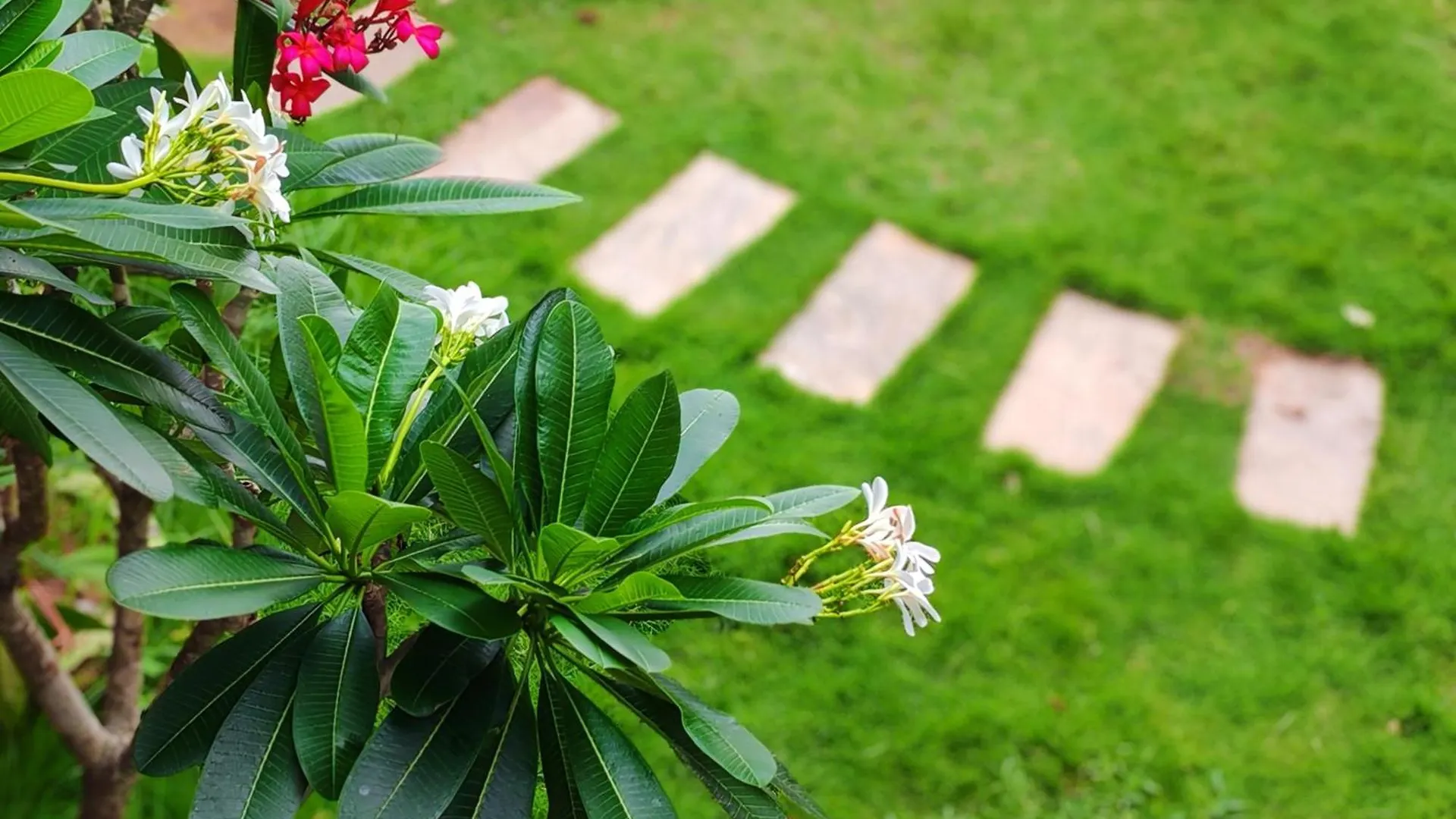 Devi Ocean Spa-Ayurveda Hotel Thiruvananthapuram India